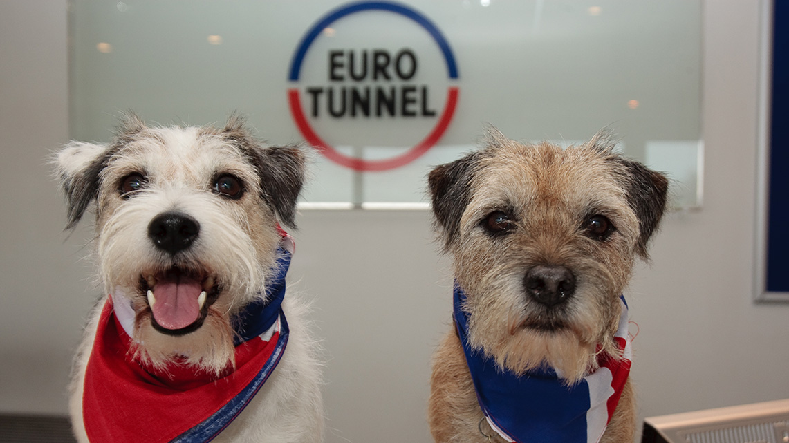 Histoire Getlink - 2000 - Eurotunnel transport animaux domestiques