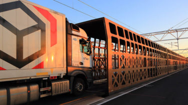 råolie Vuggeviser krokodille Activity and performance - Eurotunnel