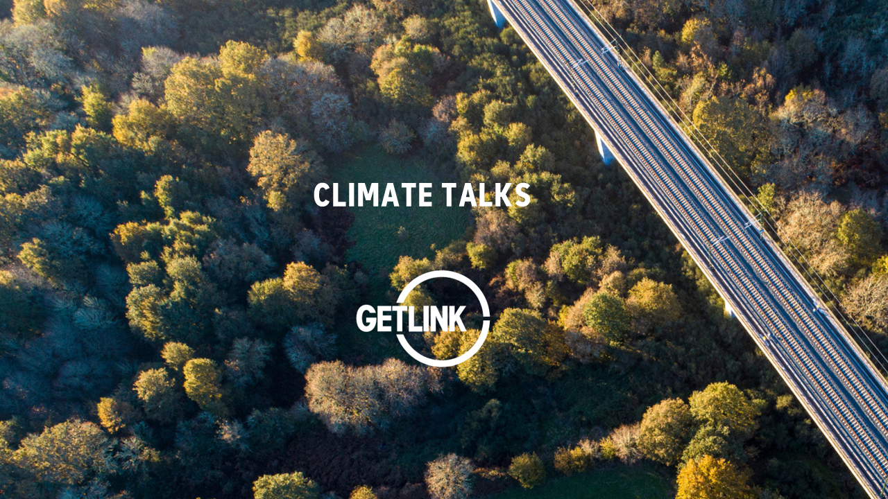 Illustrative image of Getlink's climate talks. Visual of railway tracks running through a forest.